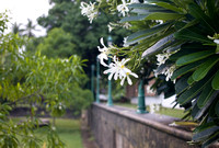 20080615-0008- Kalari Kovilakom